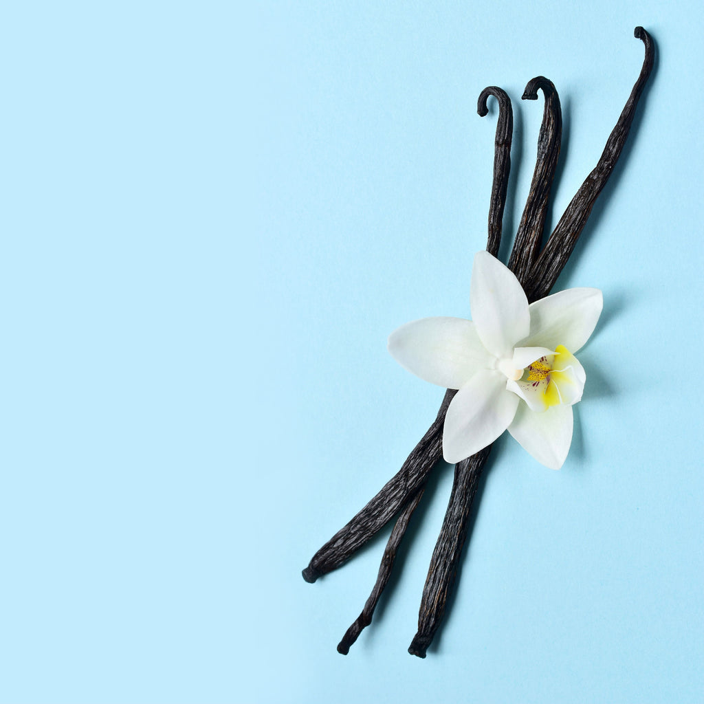 NO. 1113 Fragrance Oil for Cold Air Diffusers - Inspired by: Iced Vanilla Woods by Bath & Body Works