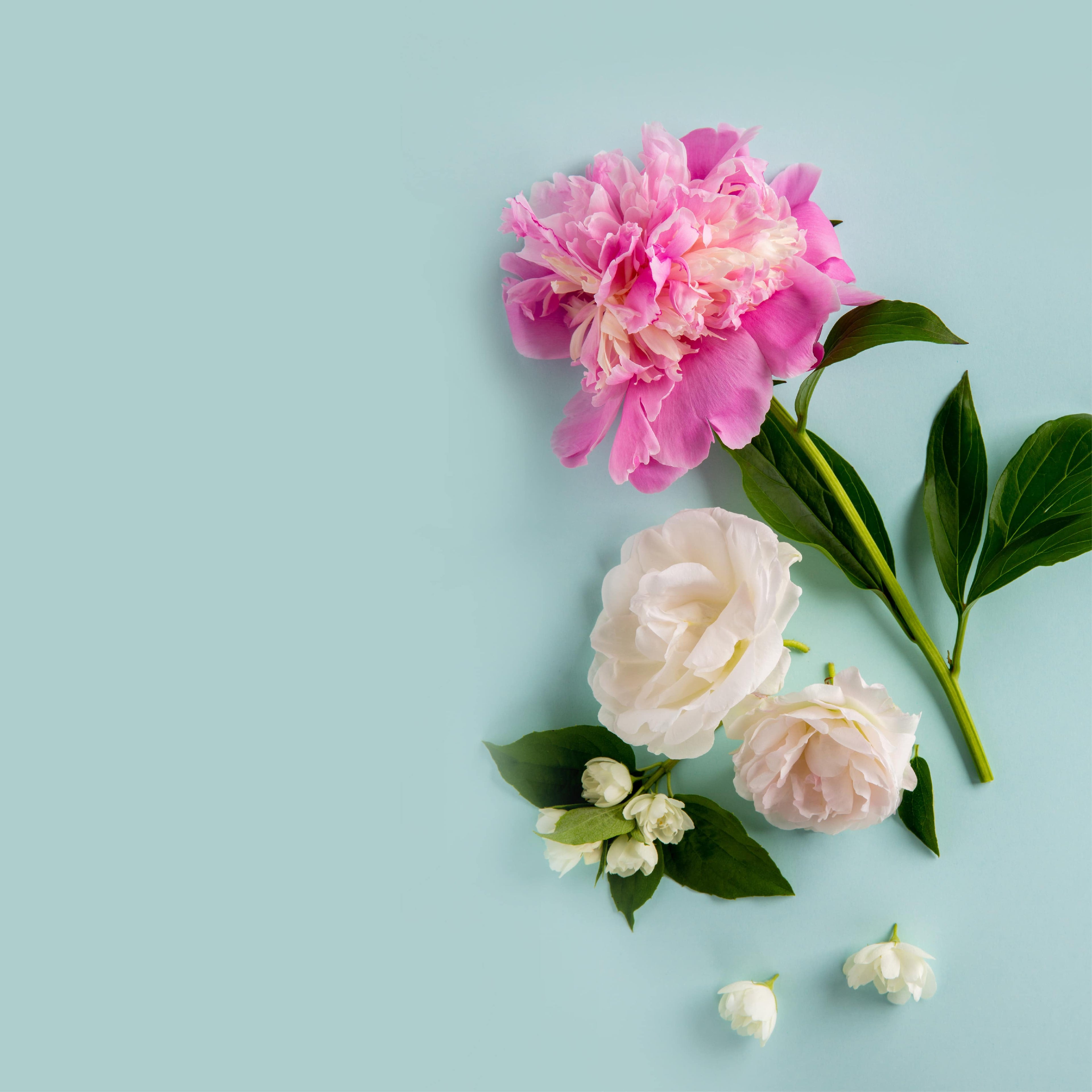 NO. 1107 Fragrance Oil for Cold Air Diffusers - Inspired by: Cashmere Glow by Bath & Body Works