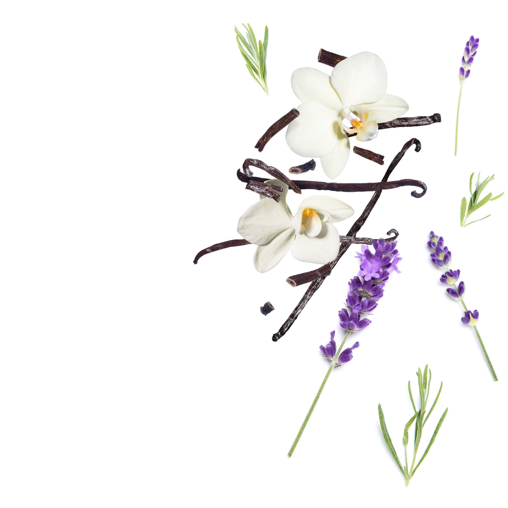 NO. 47 Fragrance Oil for Cold Air Diffusers - Lavender Vanilla