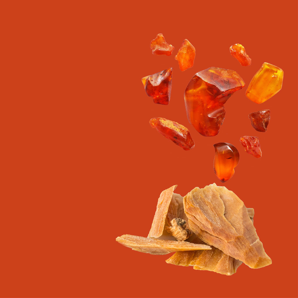 NO. 21 Fragrance Oil for Cold Air Diffusers - Cedarwood & Amber
