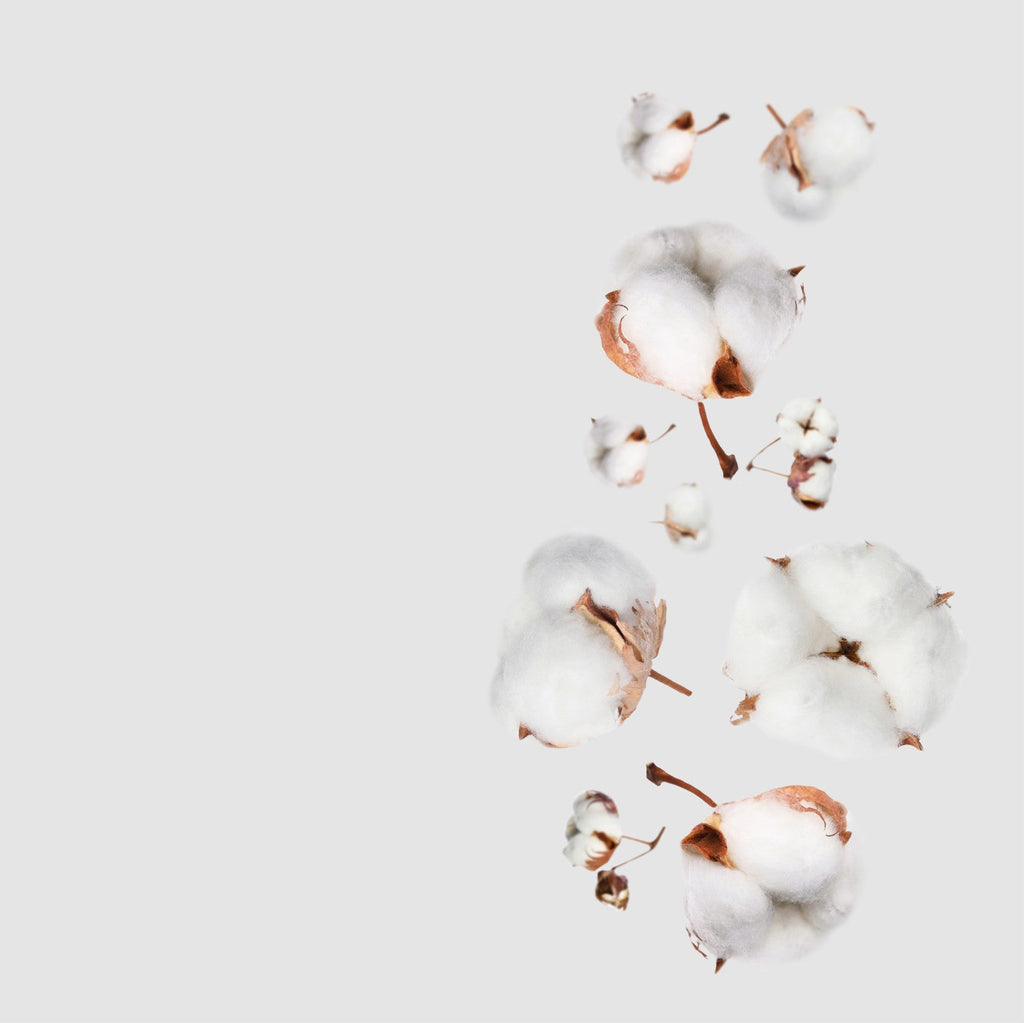 NO. 25 Fragrance Oil for Cold Air Diffusers - Clean Cotton